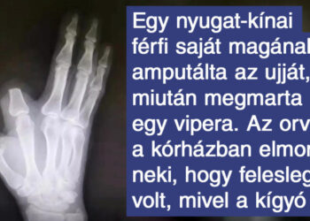 17 fénykép, amelyet illusztrációként lehetne használni a Murhpy törvénye című cikkben a Wikipédián