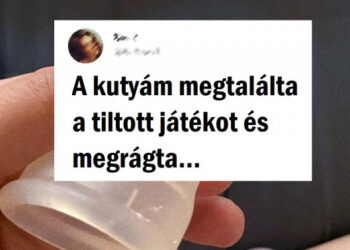 15 kép, ahol szemmel láthatóan több a dráma, mint egy brazil szappanoperában