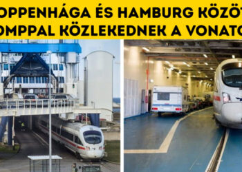 27 izgalmas tény, mely igazolja, hogy mennyire keveset tudunk a körülöttünk lévő világról