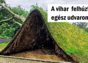 15 alkalom, mikor a természet varázslót játszott, és a hétköznapi dolgokat anomáliákká változtatta