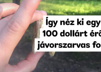 18 fénykép, amely megadja a választ azokra kérdésekre, amikre még a Wikipédia sem tudja a választ