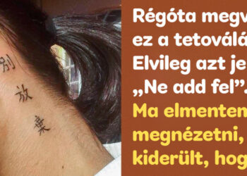 19 internetező, akinek pocsék napja volt, de nem veszítette el a humorérzékét