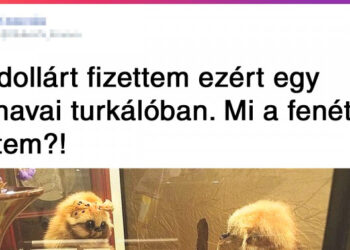 A japán élet 20 vonása, amelyre minden európai ember rácsodálkozik