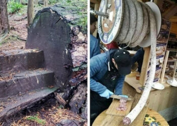 20 kép, mely igazolja, hogy a világ tele van érdekes dolgokkal, amiket még nem láttunk