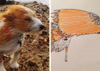 30 állatportré egy brit művésztől, aki nem tud rajzolni, de az eredmény tetszetős