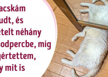 17 felvétel, amelyet közelebbről is meg akarsz majd nézni, hogy elhidd, amit látsz