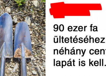 20+ kép, amelyre nyugodtan mondhatod: „most már mindent láttam!”