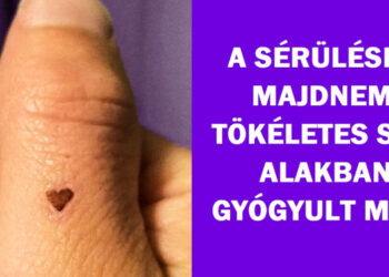 15 alkalom, mikor az emberek találtak valami csodálatosat a hétköznapi dolgokban