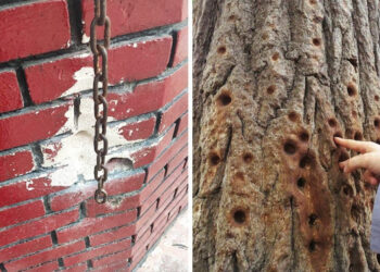 20 fotó, ahol látványosan nyomokat hagyott az idő múlása a különböző tárgyakon