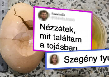 19 személy, akik váratlan meglepetésekre bukkantak a leghétköznapibb dolgokban