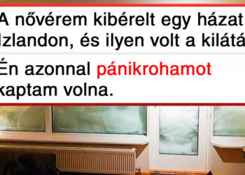 20+ dolog, mely bebizonyítja, hogy Izlandot a világ többi része sosem értheti meg