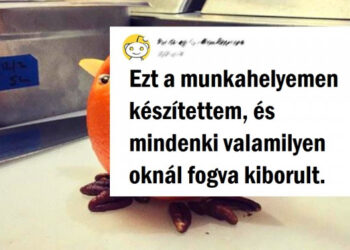 19 személy, aki bizonyítja, hogy alkalmas a kézművességre