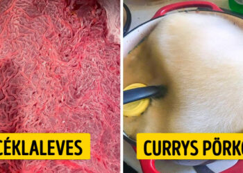 20+ fénykép, mely segít megválaszolni néhány látványos “mi történik, han…” kérdést