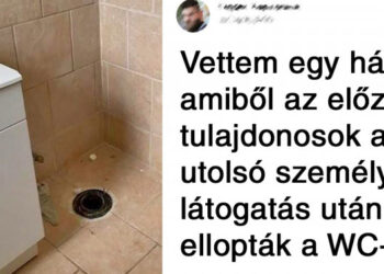 19 alak és egy kutya, akik a saját bőrükön tapasztalták meg az élet fájdalmát