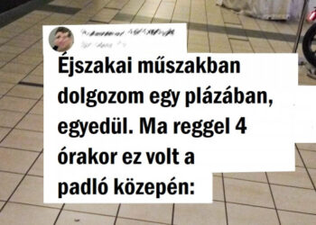 14 felvétel, ami igazolja, hogy a boltok ugyanolyan menő dolgokat rejtenek, mint éjszaka a múzeumok