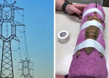 Az internetezők 20 képet osztottak meg a legérdekesebb dolgokról, amiket az utóbbi időben láttak