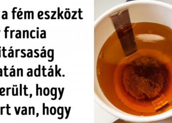 20 személy, akik szokatlan és érdekes dolgokra bukkantak a repülőgépeken