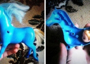 17 furcsa eset, mikor az emberek meglehetősen váratlan dolgot találtak a hétköznapi tárgyak belsejében