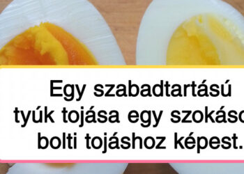 20 alkalom, mikor a hétköznapi dolgok összehasonlításával látványos különbségeket találtunk