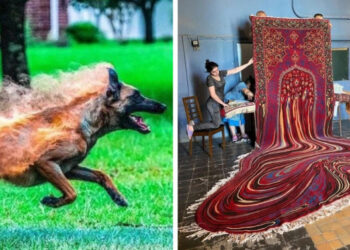 18 kép olyan csodálatos dolgokról, amikről talán nem is tudsz, pedig rendkívül klasszak