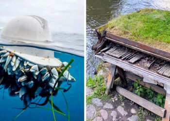 18 fotó, ami bizonyítja, hogy a természet mindig megtalálja a módját, hogy visszaszerezze azt, mely az övé