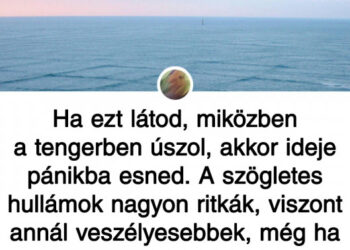 21 ember, akinek sikerült lefényképeznie valamit, amely még a tankönyvekben sincs benne