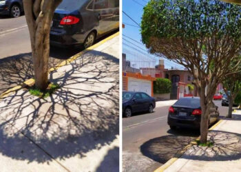 19 alkalom, mikor az anyatermészet műveitől libabőrösök lettünk