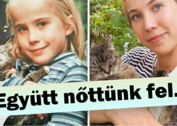 19 sztori, amikor az állatok és az emberek között életre szóló kötelék alakul ki