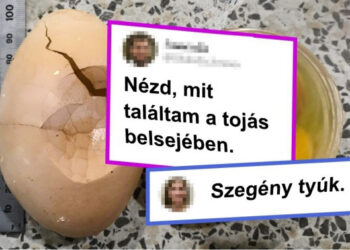 19 személy, aki valami váratlan dolgot fedezett fel egy hétköznapi dolog belsejében