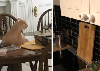 20 felvétel, mely bebizonyítja, hogy mennyire megtévesztő lehet a minket körülvevő világ