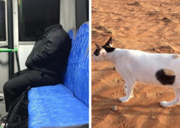 18 alkalom, mikor a tökéletes pillanatban készült fotók igazi rejtélyeket okoztak a szemünknek