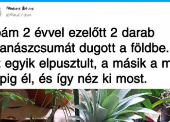 20 alkalom, mikor az élet olyan meglepetésekkel szolgált, amelyet nem könnyű felfogni ésszel