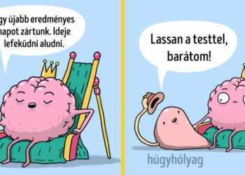 14 ábra, amely igazolja, hogy a belső szerveink ugyanolyan problémákkal küszködnek, mint mi