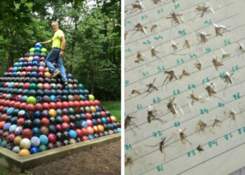 20 alkalom, mikor az emberek olyan dolgokat kezdtek gyűjteni, amely másoknak eszébe sem jutott volna