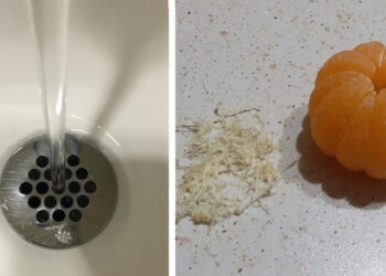 18 tökéletes kép a tökéletelen világ által megtépázott lelkünk megnyugtatására