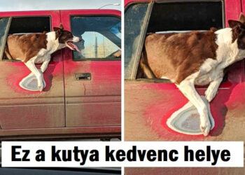 19 varázslatos kép, ami láthatóvá teszi az időt