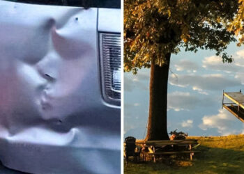 20 felvétel, amelytől eldobod az agyad, amennyiben egy kicsit közelebbről megnézed