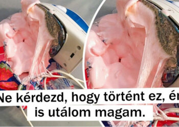 16 alak, aki piszkosul tudja, hogy mit jelent a kudarc