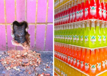 19 stresszoldó felvétel, mely jobban megnyugtathat, mint bármelyik pszichológus