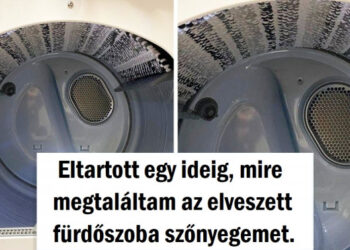 20+ alak, akik a perfekcionisták paradicsomában élnek