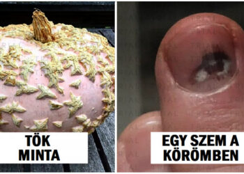 20 alkalom, mikor a természet elpusztította a saját sablonjait