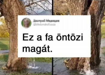 17 kép, mely bebizonyítja, hogy a természet minden varázslónál nagyobb mutatványokra képes