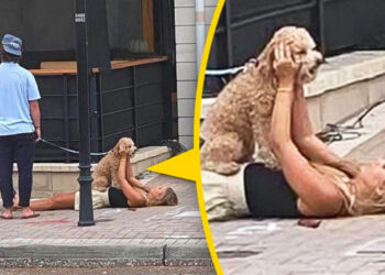 20 fénykép, amelyen több a dráma, mint bármelyik brazil szappanoperában