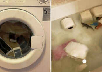 Az emberek megosztották a 16 legnagyobb hülyeséget, amiket a gyerekeik csináltak