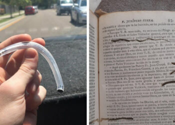 16 érdekes fénykép, mely választ ad a kérdésre: “mi történik, amennyiben…”