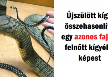 20 ritka fotó, ami megváltoztatja az életképedet