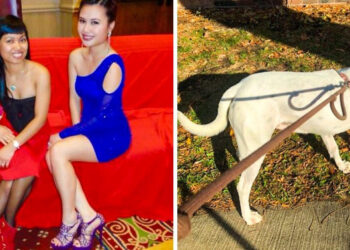 15+ furcsa fotó, melyek most azonnal magyarázatot igényelnek