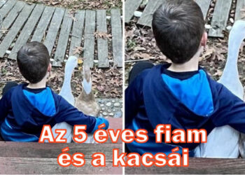 20 felvétel, mely bizonyítja, hogy a valódi barátság nem ismer akadályokat