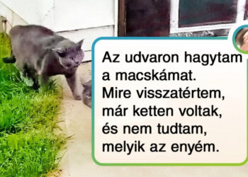 17 alak, aki totálisan véletlenül futott bele az univerzum egy látványos hibájába