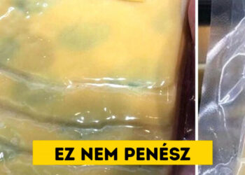 17 félkegyelmű tervező, akiknek az agyszüleményei halálra rémítették az embereket